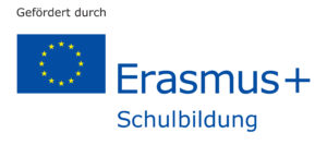 Disclaimer_Erasmus